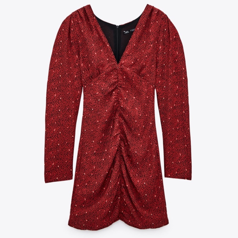 Zara Print Dress NWT